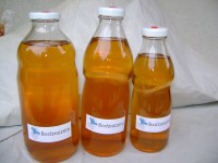 Bodzaszörp (700ml)